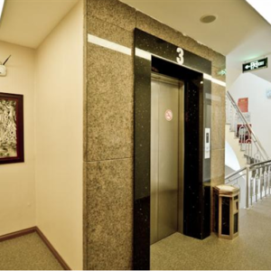 Thang máy tải khách 350kg