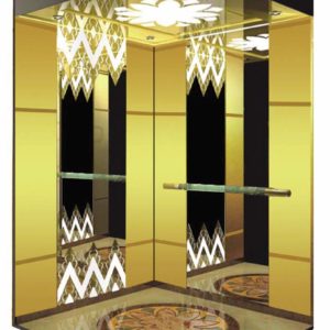 Thang máy tải khách 750kg